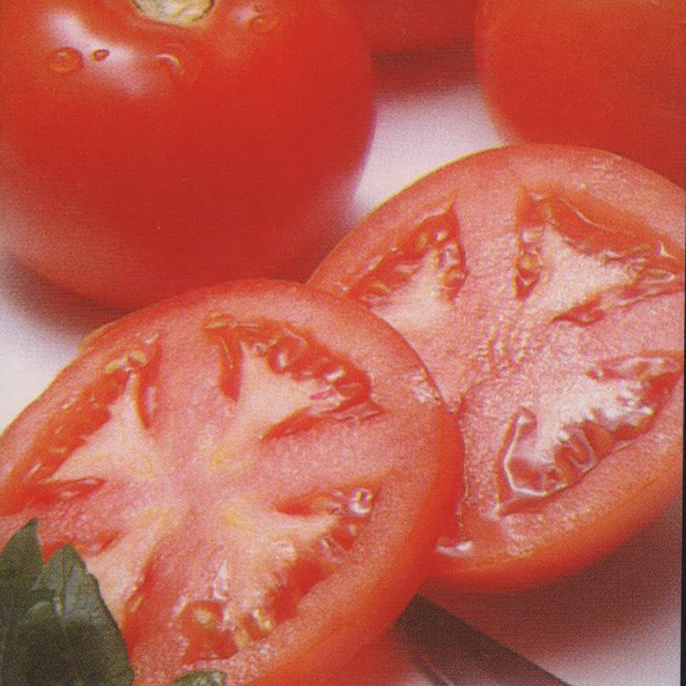 Tomato GROSSE LISSE IMPROVED Product Range Terranova Seeds Australia
