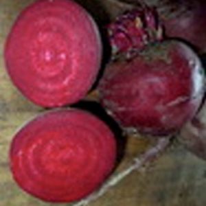 Terranova Seeds - Beetroot Full House
