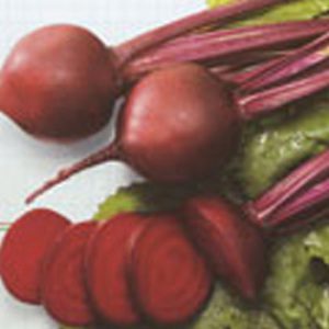 Terranova Seeds - Beetroot Mono Red