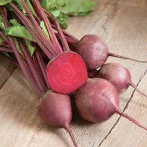Terranova Seeds - Beetroot Red Atlas