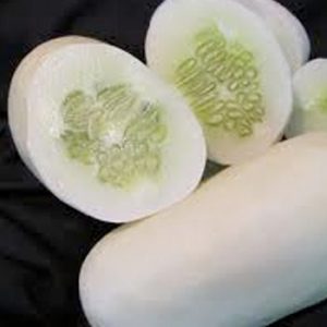 Terranova Seeds - Cucumber Crystal Salad