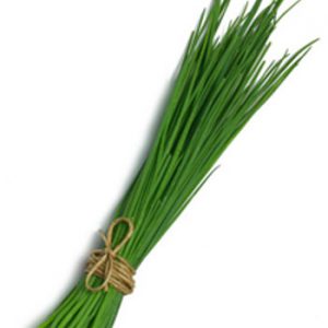 Terranova Seeds - Herb Chives Staro