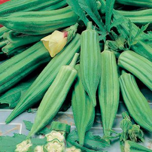 Terranova Seeds - Okra - Clemens - Spineless