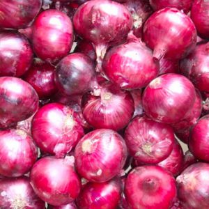Terranova Seeds - Onion Malbec