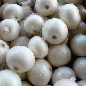 Terranova Seeds - Onion Whitehaven