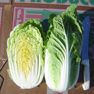 Terranova Seeds - Oriental Vegetables Apache