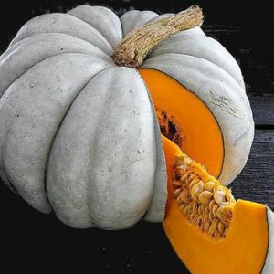 Terranova Seeds - Pumpkin Jarrahdale Grey