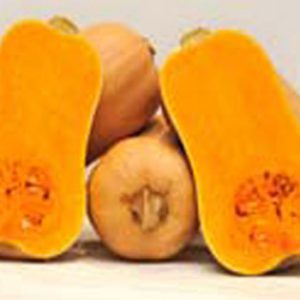 Terranova Seeds - Pumpkin Tiana