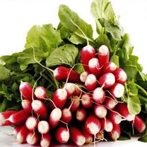 Terranova Seeds - Radish Kelso