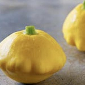 Terranova Seeds - Squash Golden Buttons