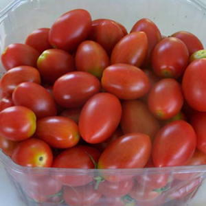 Terranova Seeds - Tomato Grape 25