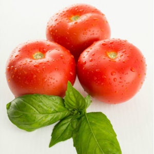 Terranova Seeds - Tomato Sylviana