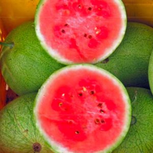 Terranova Seeds - Watermelon Mickylee