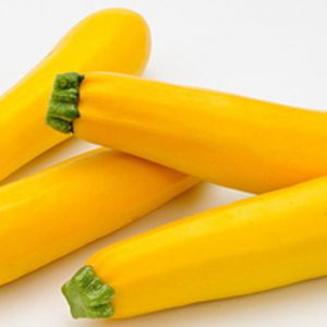 Terranova Seeds - Zucchini Goldie